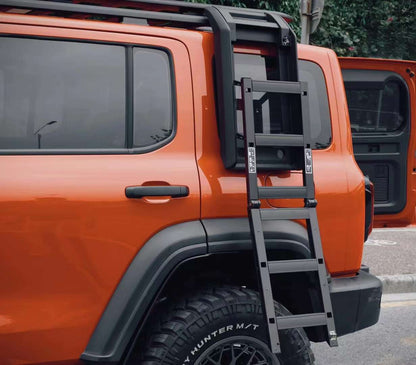 Maiker WS Roof rack and Side ladder for Tank 300 Accessories